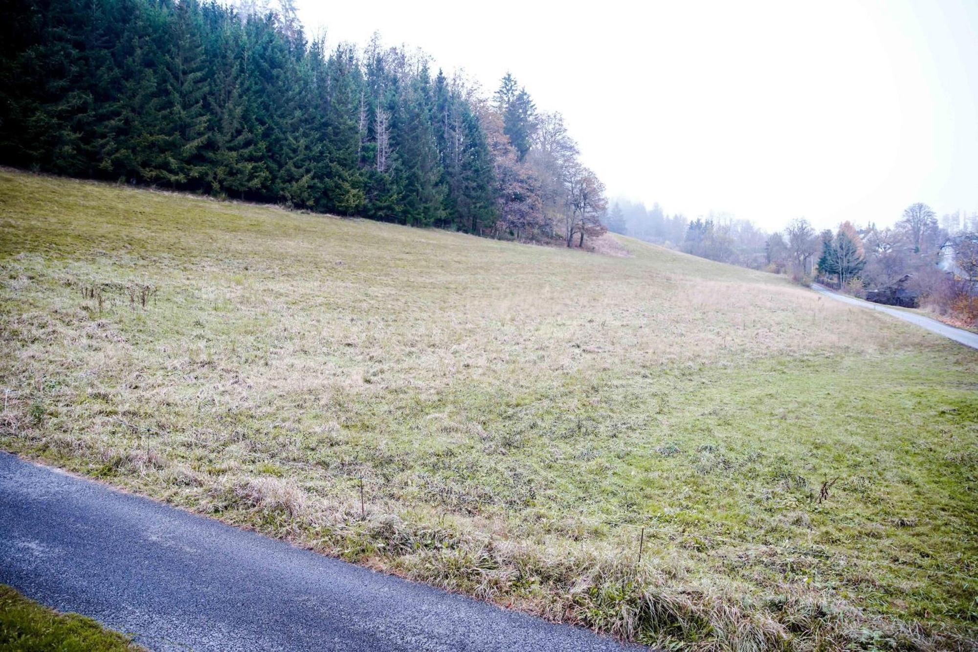 Smart B&b2 Bb2 317 Winterberg